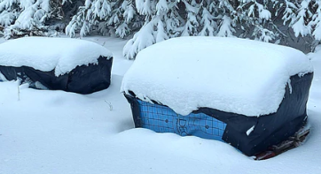 Special BEE Hive Cozies for Winter